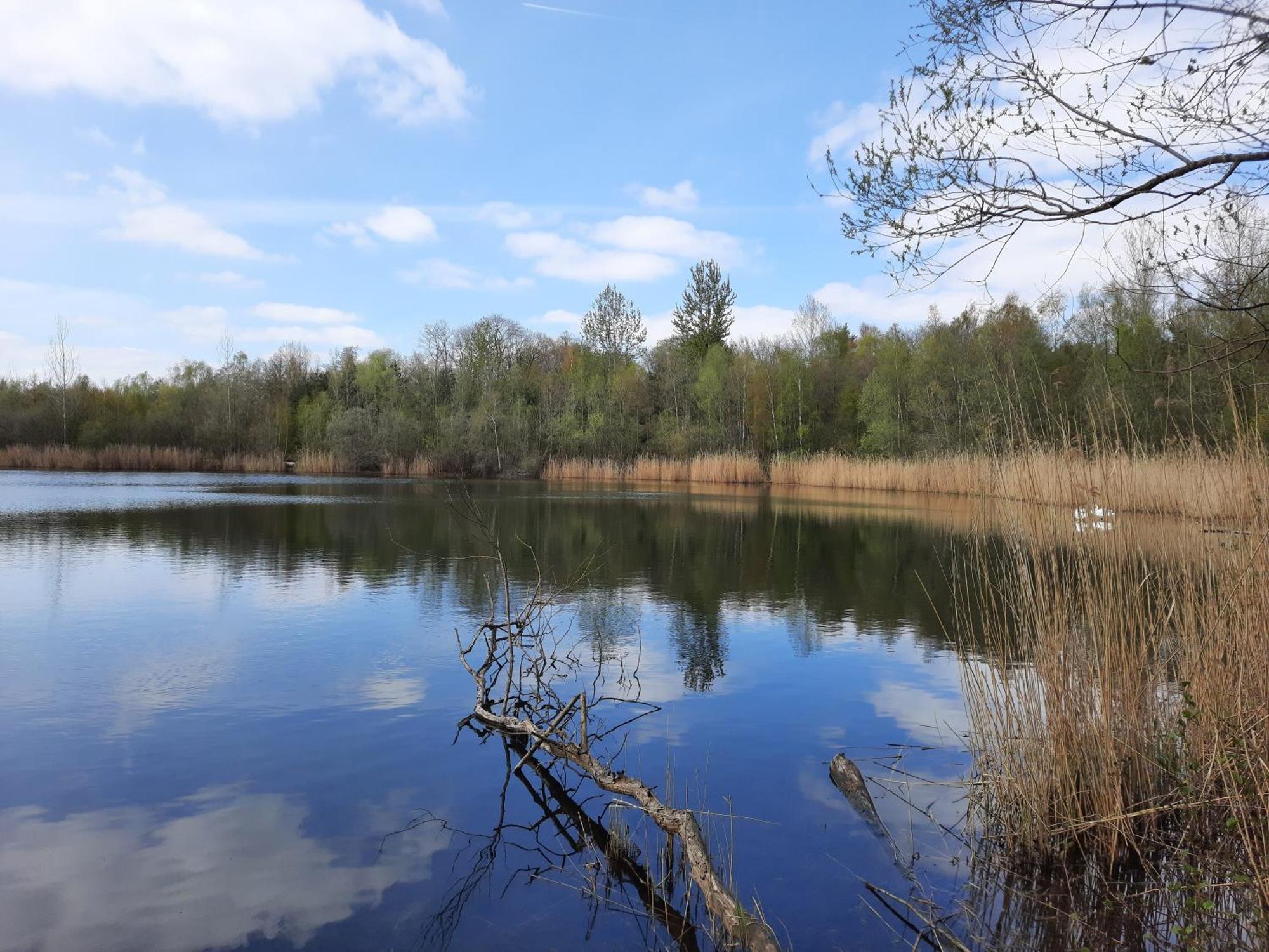 Ferienhaus Am See Goch Kessel Номер фото