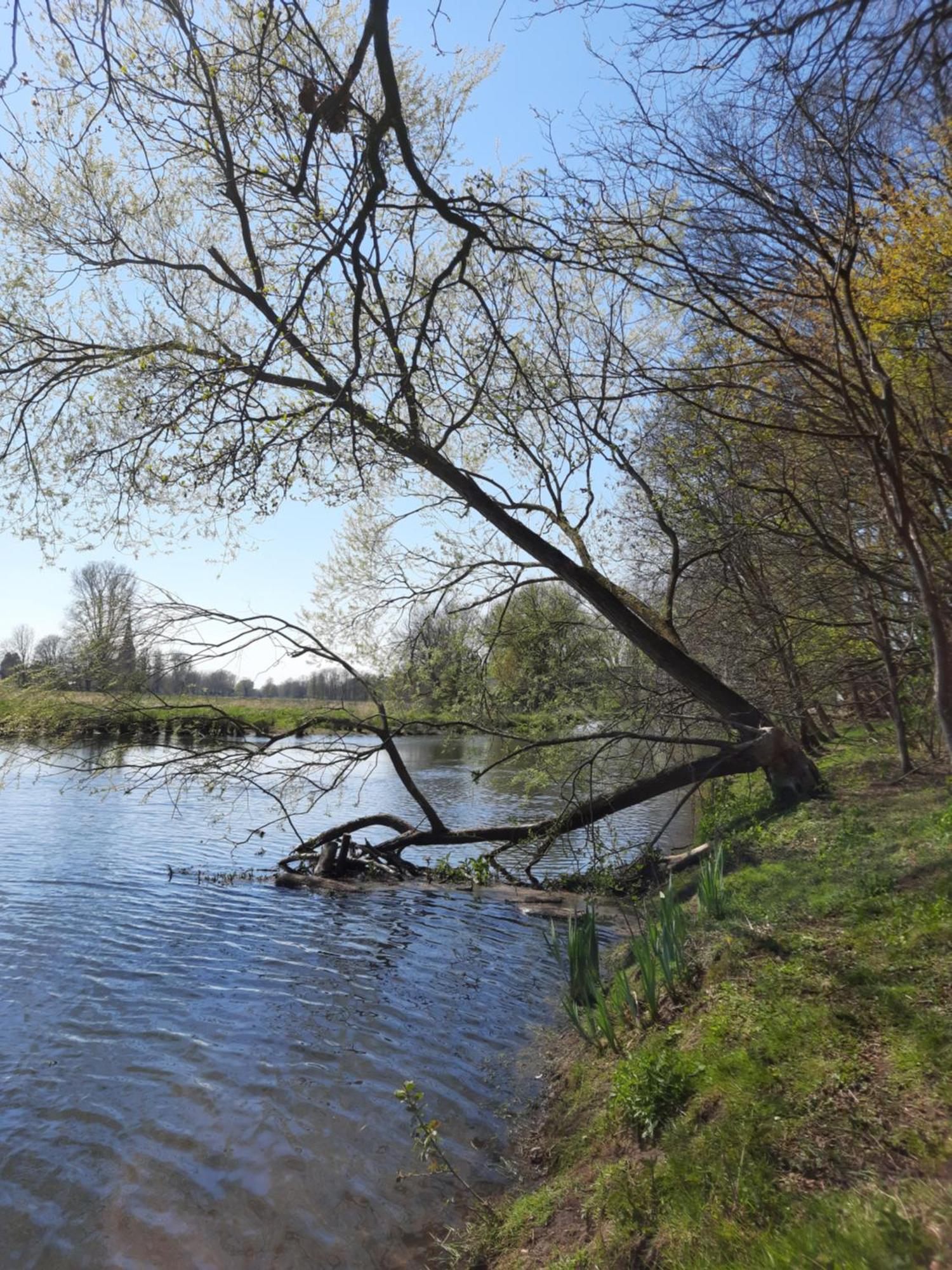 Ferienhaus Am See Goch Kessel Номер фото